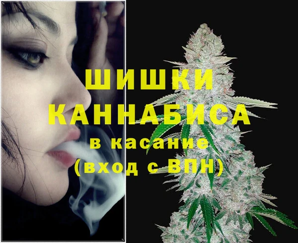 мяу мяу мука Покачи