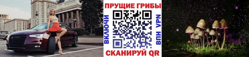 Псилоцибиновые грибы Psilocybine cubensis  Томари 